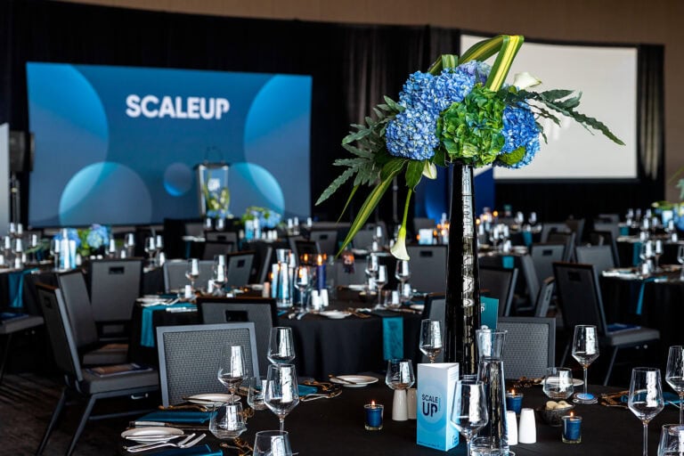 ScaleUp Awards