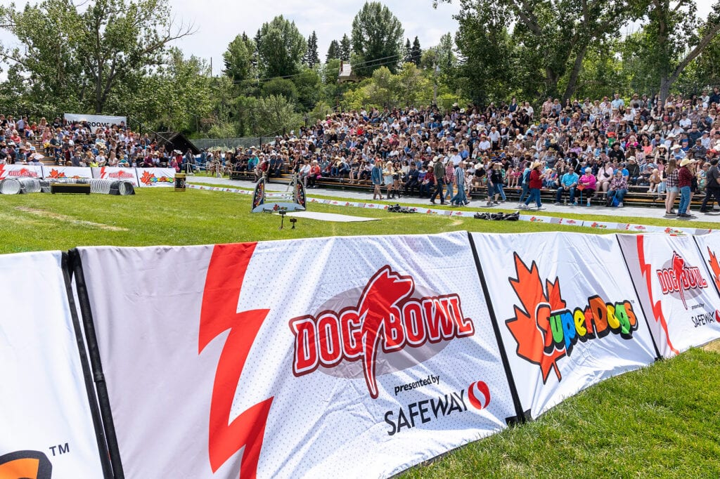 SafewayStampede2025009