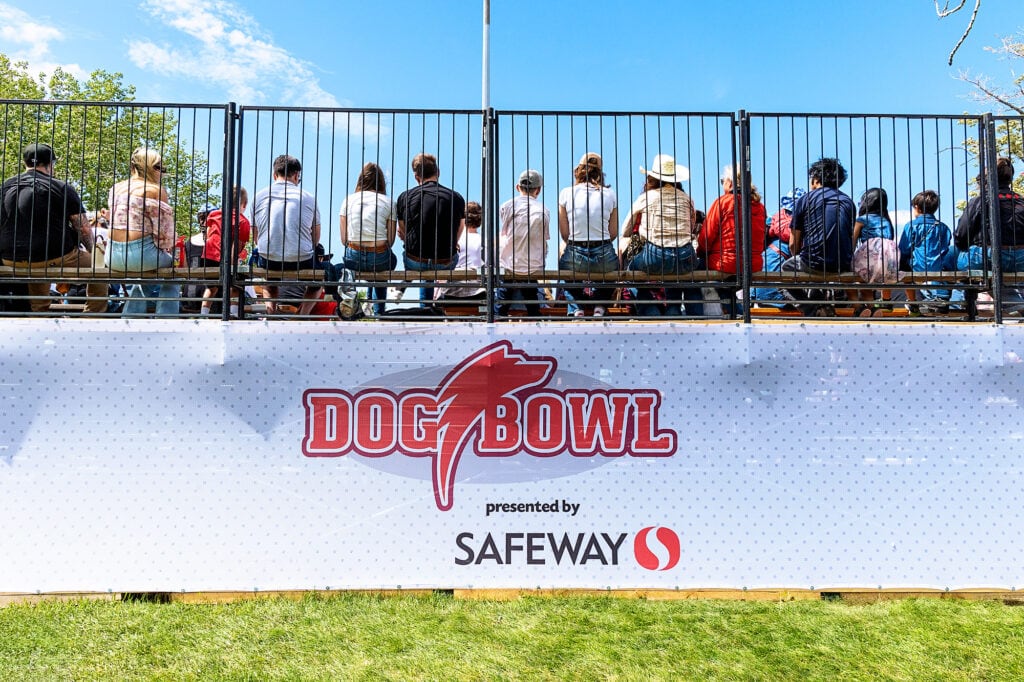 SafewayStampede2025011