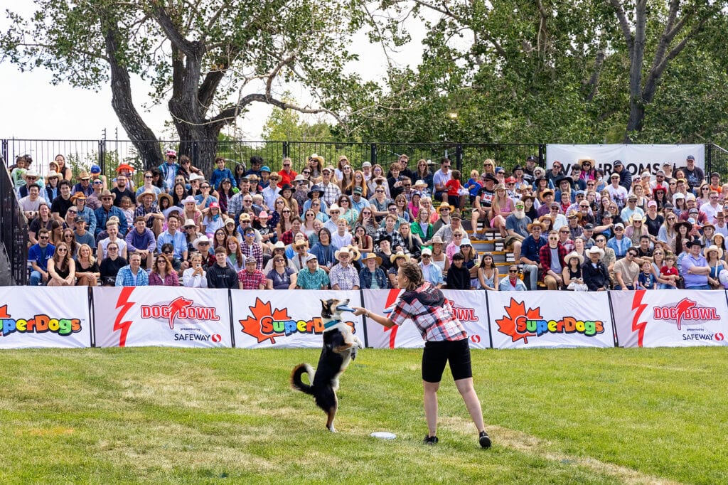 SafewayStampede2025015