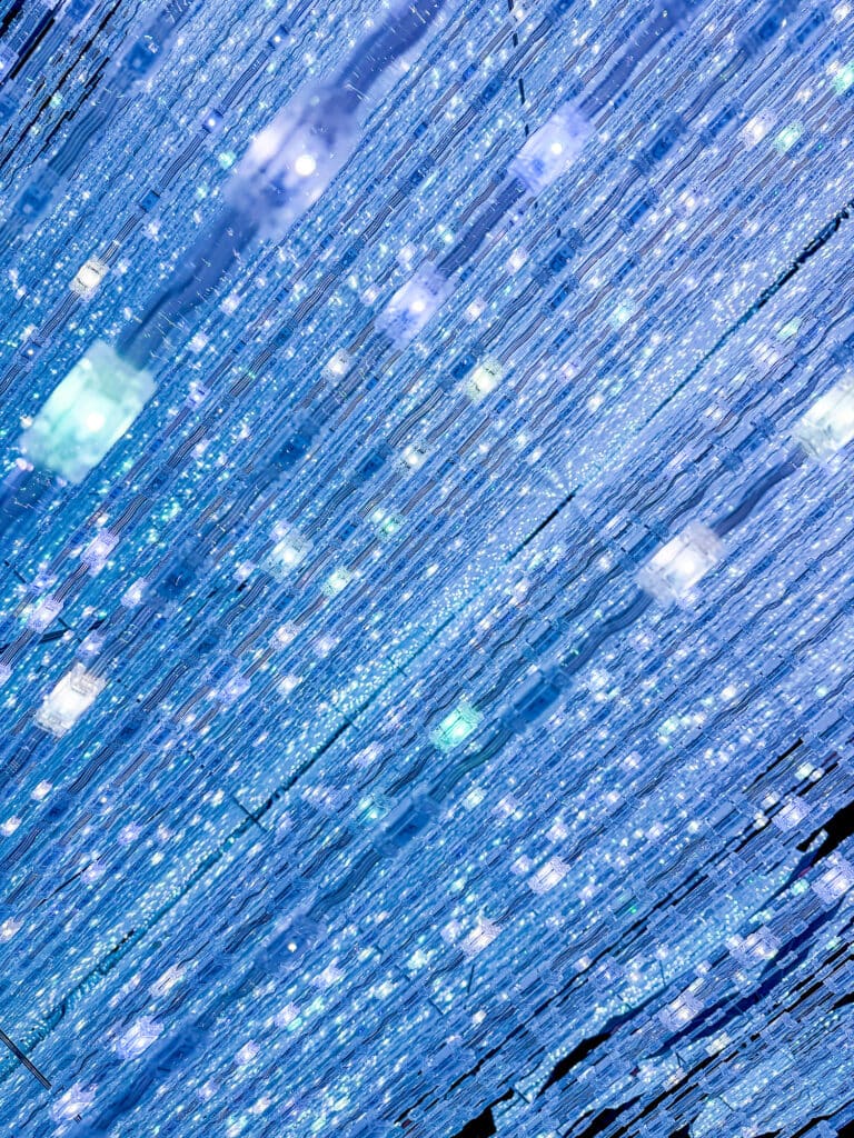 TokyoTeamlabBorderless002