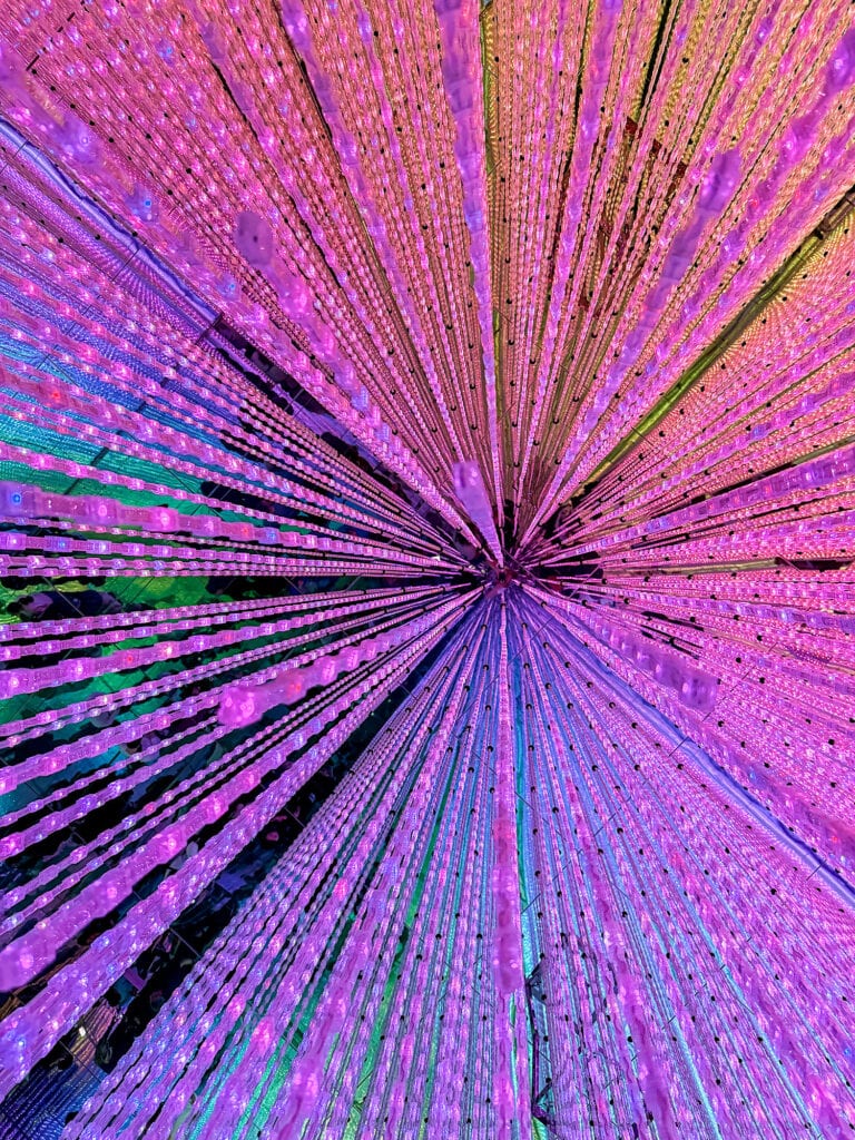 TokyoTeamlabBorderless004