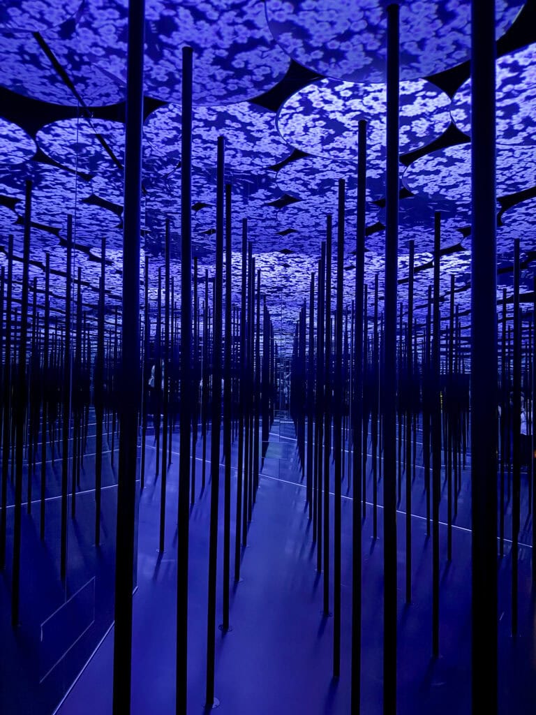 TokyoTeamlabBorderless009