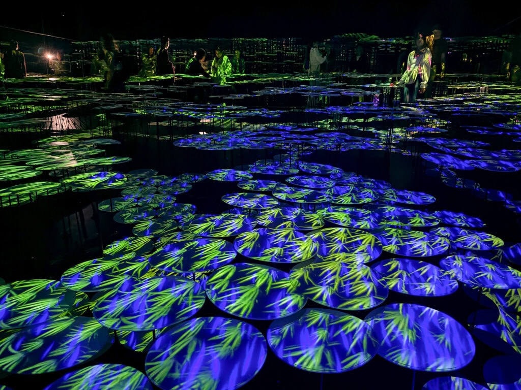 TokyoTeamlabBorderless010