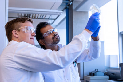 Corporate portfolio010