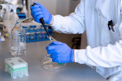 Corporate portfolio062