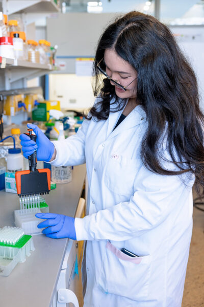 Corporate portfolio086