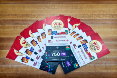 Corporate portfolio091