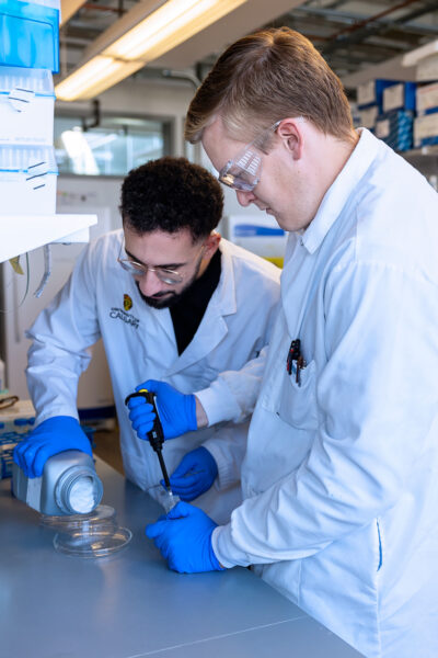 Corporate portfolio111