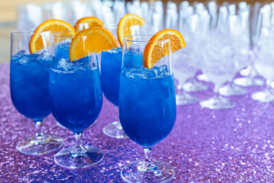 Mitzvah portfolio104