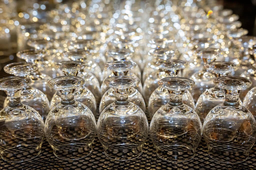 PoliPalsChristmas044